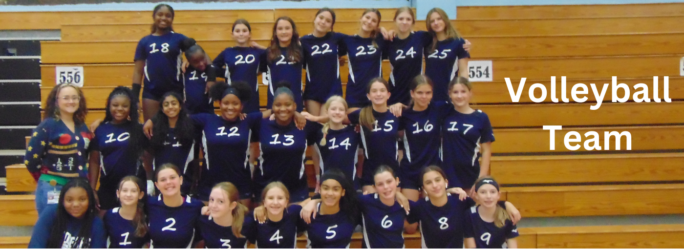 Volleyball team group photo